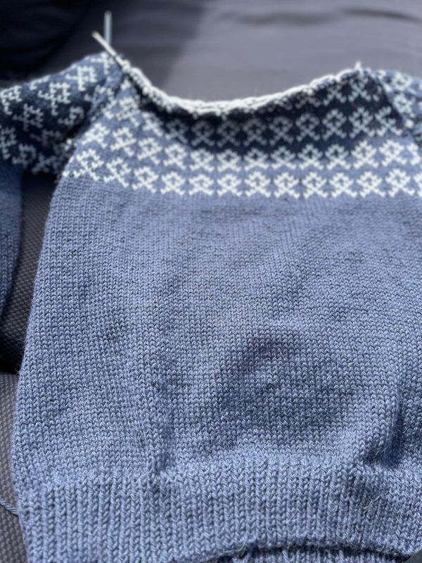 Bertes sweater, children