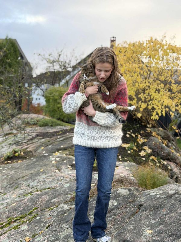 Madr-genser (oppskrift)