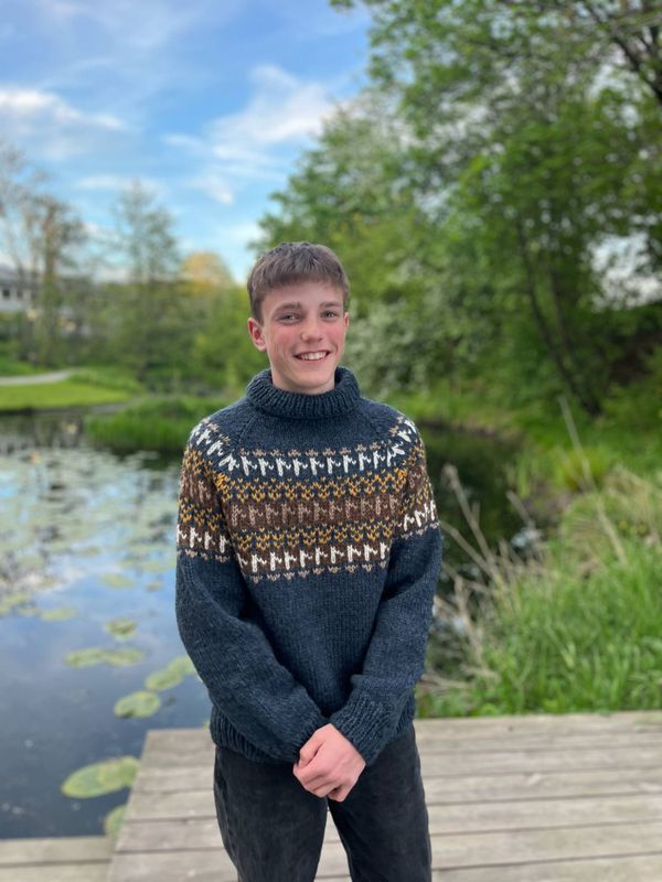 Logr-genser - Ferdigstrikka