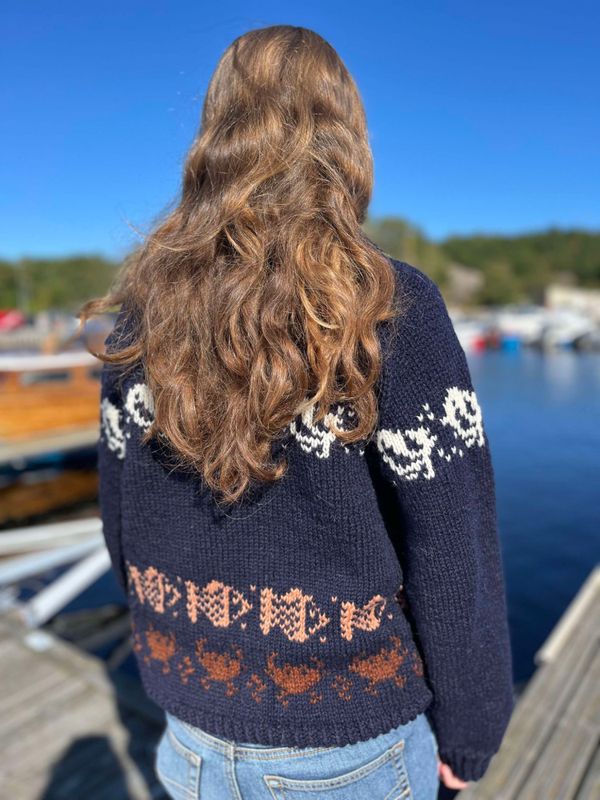 Himmel og hav-genser - Ferdigstrikka