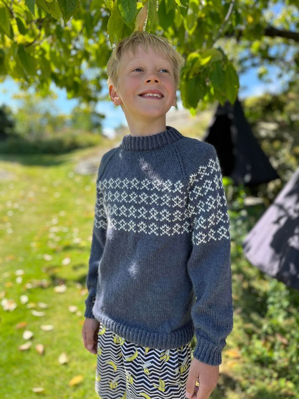 Bertes sweater, children