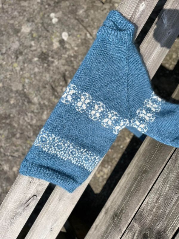 Randø-genser