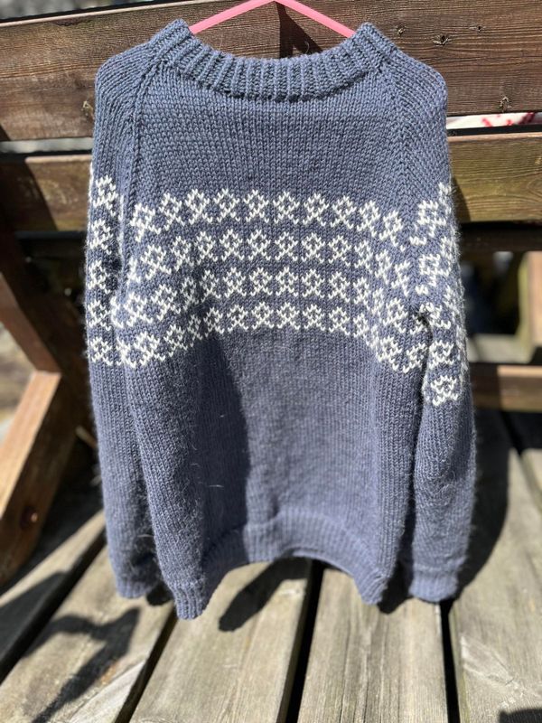 Bertes sweater, children